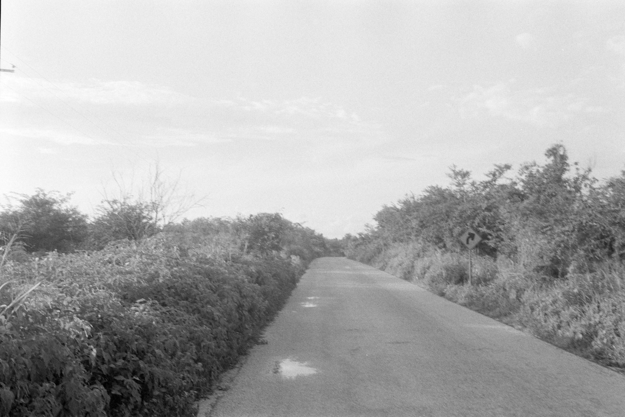 AHP FilmScan 240807 0687